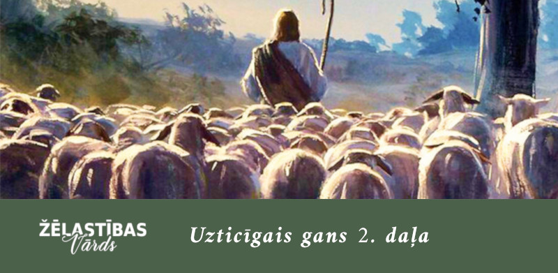 Uzticīgais gans 2. daļa